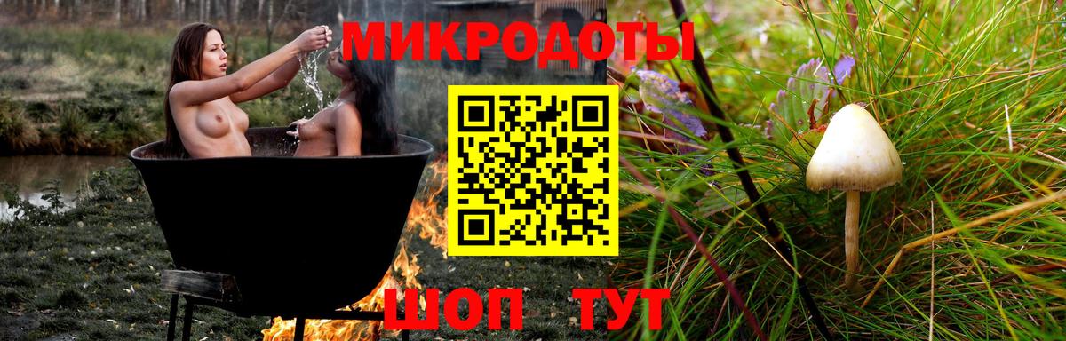Псилоцибиновые грибы мухоморы Можга